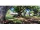 Lush backyard boasting mature trees, expansive greenery, and a serene view of a home in the distance at 2602 Tryon Pl, Windermere, FL 34786