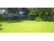 Spacious backyard offering ample green space and mature trees for privacy at 2602 Tryon Pl, Windermere, FL 34786
