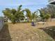 Backyard with bamboo trees and playset at 3726 Imperial Dr, Winter Haven, FL 33880