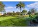 Large backyard with lush landscaping and palm trees at 25304 Forest Oak Ct, Leesburg, FL 34748