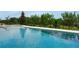 The beautiful pool and jacuzzi offer a refreshing oasis in this home's outdoor space at 15615 Vetta Dr, Montverde, FL 34756