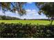 Beautiful green pasture under a blue sky with Spanish moss-covered trees and some shrubbery in the foreground at 8194 Se 177Th Winterthur Loop, The Villages, FL 32162