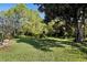 Spacious backyard with lush green lawn and shade trees at 210 Westcott Ct, Deland, FL 32724