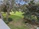 Landscaped backyard with lush greenery at 25813 Glen Eagle Dr, Leesburg, FL 34748