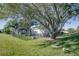 Spacious backyard with large tree, fenced pool, and basketball hoop at 1148 Calloway Cir, Clermont, FL 34711