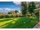 Expansive backyard featuring lush green grass, mature trees, and a secure wooden fence at 33516 Overton Dr, Leesburg, FL 34788