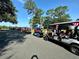 Golf carts parked along the road at 34045 Alameda Dr, Sorrento, FL 32776