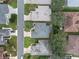 Overhead shot providing a comprehensive look at the neighborhood layout and surrounding greenery at 20744 Queen Alexandra Dr, Leesburg, FL 34748