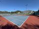 Well-maintained tennis courts featuring a blue and red playing surface and professional lighting for evening matches at 3530 Mulberry Grove Loop, Leesburg, FL 34748