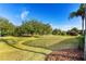 Large grassy backyard with mature trees and landscaping at 38728 Oak Place Ct, Lady Lake, FL 32159