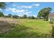 Expansive green backyard with mature trees is perfect for outdoor activities and enjoying nature at 4130 Capland Ave, Clermont, FL 34711