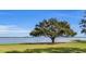 Backyard with a large shade tree and lakefront access at 38230 Yale Cir, Leesburg, FL 34788