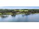 Picturesque lakefront home with mature trees, beautiful lawn and stunning views at 38230 Yale Cir, Leesburg, FL 34788