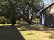 Grassy backyard with mature trees and side door access to the home at 11 The Crescent, Minneola, FL 34715