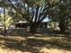 Expansive backyard with mature trees providing shade to the home at 11 The Crescent, Minneola, FL 34715