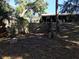 The backyard has a cement box-like structure with a few trees in the background at 11 The Crescent, Minneola, FL 34715