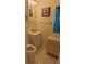 Cozy bathroom featuring a vanity sink, toilet, and window with patterned curtains at 103 Fountain Cv, Leesburg, FL 34748