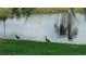 Picturesque pond with two ducks near the bank at 103 Fountain Cv, Leesburg, FL 34748