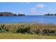 Scenic view of a tranquil lake with lush vegetation at 734 Boylston St, Leesburg, FL 34748