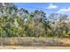 Wooded lot view with mature trees at Tbd Dogwood Drive Pass # Lot 21, Ocala, FL 34472