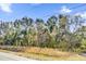 Wooded lot view from street view at Tbd Dogwood Drive Pass # Lot 21, Ocala, FL 34472