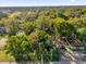 An aerial view of a partially-wooded lot at Tbd E Jackson Ave, Mount Dora, FL 32757