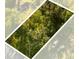 Close aerial shot of lot showing dense tree coverage in daytime lighting at Tbd E Jackson Ave, Mount Dora, FL 32757