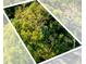 Angled aerial view of the lot showing a dense canopy of mature trees at Tbd E Jackson Ave, Mount Dora, FL 32757