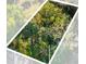 Lot aerial view surrounded by mature tree canopy and neighborhood power lines at Tbd E Jackson Ave, Mount Dora, FL 32757
