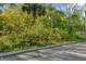 A street-level view of a lot overgrown with vegetation at Tbd E Jackson Ave, Mount Dora, FL 32757
