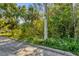Street view of lot with natural Florida landscaping, shrubbery, and a utility pole at Tbd E Jackson Ave, Mount Dora, FL 32757