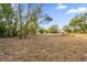 Cleared lot with surrounding trees and distant homes at Tbd S Central Ave # Parcel A, Apopka, FL 32703