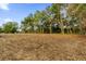 Cleared lot with mature trees bordering the property at Tbd S Central Ave # Parcel C, Apopka, FL 32703