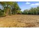 Cleared lot with mature trees bordering the property at Tbd S Central Ave # Parcel C, Apopka, FL 32703
