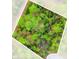 Aerial view of a wooded lot at Tbd Sw 176 St, Ocala, FL 34473