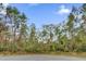 Spacious wooded lot perfect for new construction at Tbd Sw 176 St, Ocala, FL 34473