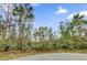 Wooded lot ready for your dream home at Tbd Sw 176 St, Ocala, FL 34473