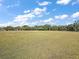 Expansive grassy lawn area provides ample space for outdoor activities and recreation on this sunny day at 5415 Banana Point Dr, Okahumpka, FL 34762