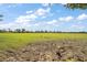 Expansive green pasture with clear blue skies, perfect for horses or livestock at 5415 Banana Point Dr, Okahumpka, FL 34762