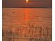 Scenic sunset view over tranquil waters, silhouetted by vegetation, and bird flying over water at 5415 Banana Point Dr, Okahumpka, FL 34762