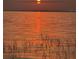 Scenic waterfront view featuring a golden sunset, tranquil water, and wildlife flying above at 5415 Banana Point Dr, Okahumpka, FL 34762