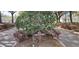 Street view of landscaped area including a NO SOLICITING sign surrounded by mature trees and greenery at 702 S Grand Hwy, Clermont, FL 34711