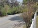 Quiet street bordered by trees and a white fence leading towards a residential property at 702 S Grand Hwy, Clermont, FL 34711