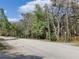 Road view featuring a private property entrance amidst a backdrop of towering trees at 702 S Grand Hwy, Clermont, FL 34711