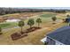 Landscaped backyard with palm trees and golf course view at 3606 Adamsville Ave, The Villages, FL 32163