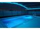 Inviting pool area with colorful night lighting and screened enclosure at 1115 Calico Pointe Cir, Groveland, FL 34736