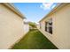 A view of the side yard area shows a manicured lawn with a small tree between two buildings at 17159 Se 78Th Crowfield Ave, The Villages, FL 32162