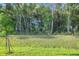 This home has a beautiful treed area at the back of the property providing a private backyard view at 2992 Supermarine Rd, Tavares, FL 32778