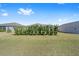 View of spacious backyard featuring lush green grass and mature landscaping at 320 Zingale Ln, The Villages, FL 32163