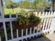 Charming white picket fence adorned with a hanging basket overflowing with bright yellow flowers at 422 W 11Th Ave, Mount Dora, FL 32757